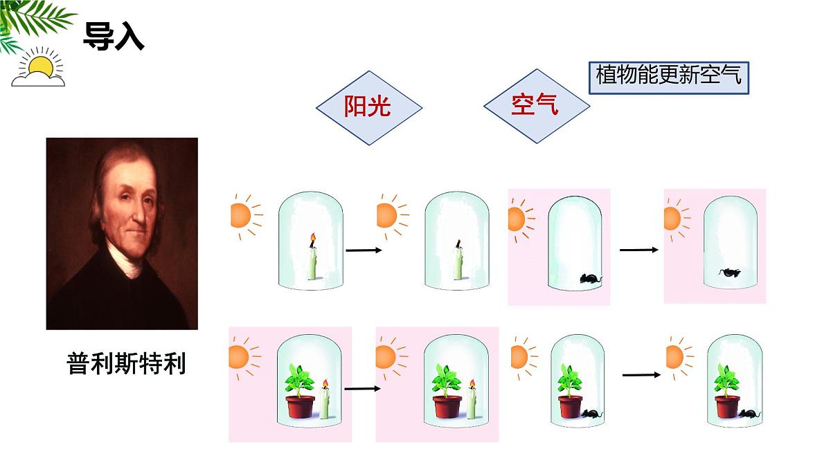 初中 生物 苏科版（2024）七年级下册5.12.2 植物维持生物圈中的碳氧平衡（第1课时） 课件第3页