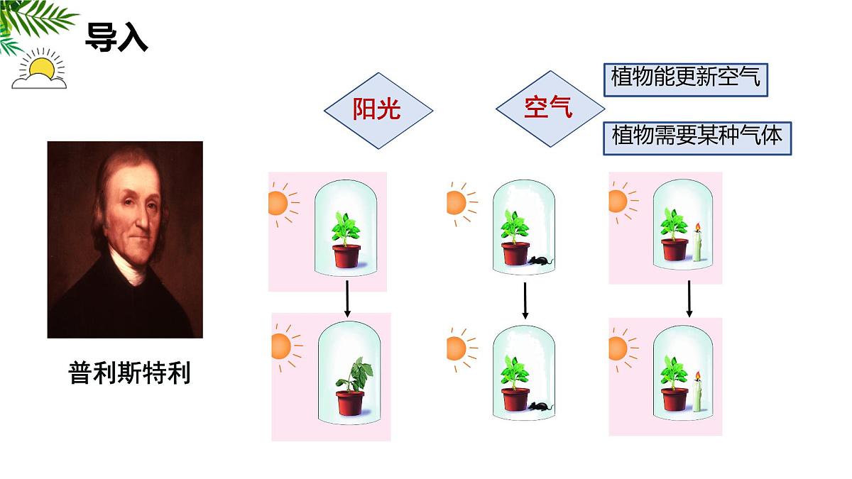初中 生物 苏科版（2024）七年级下册5.12.2 植物维持生物圈中的碳氧平衡（第1课时） 课件第4页