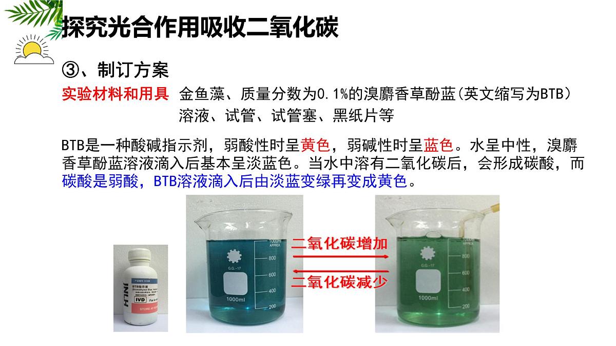 初中 生物 苏科版（2024）七年级下册5.12.2 植物维持生物圈中的碳氧平衡（第1课时） 课件第6页