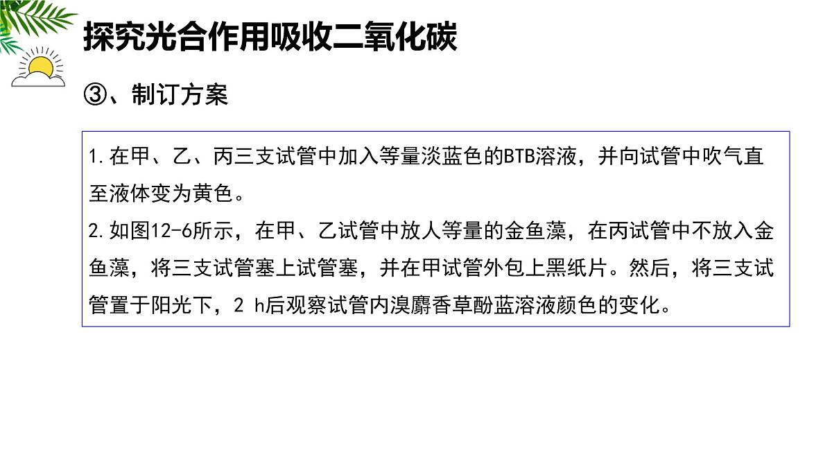 初中 生物 苏科版（2024）七年级下册5.12.2 植物维持生物圈中的碳氧平衡（第1课时） 课件第7页