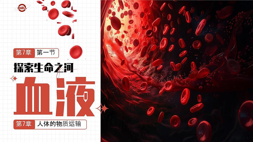 初中 生物 北师大版（2024）七年级下册4.7.1 血液 课件第1页