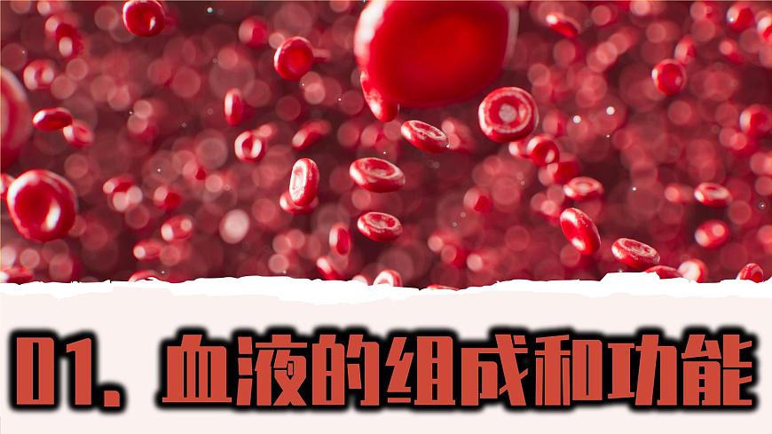 初中 生物 北师大版（2024）七年级下册4.7.1 血液 课件第3页