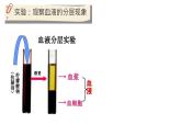 初中 生物 北師大版（2024）七年級(jí)下冊(cè)4.7.1 血液 課件