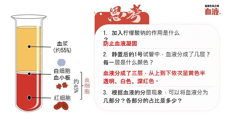 初中 生物 北师大版（2024）七年级下册4.7.1 血液 课件第6页