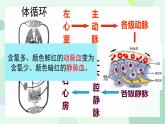 初中 生物 北師大版（2024）七年級下冊4.7.2 血液循環(huán) 課件