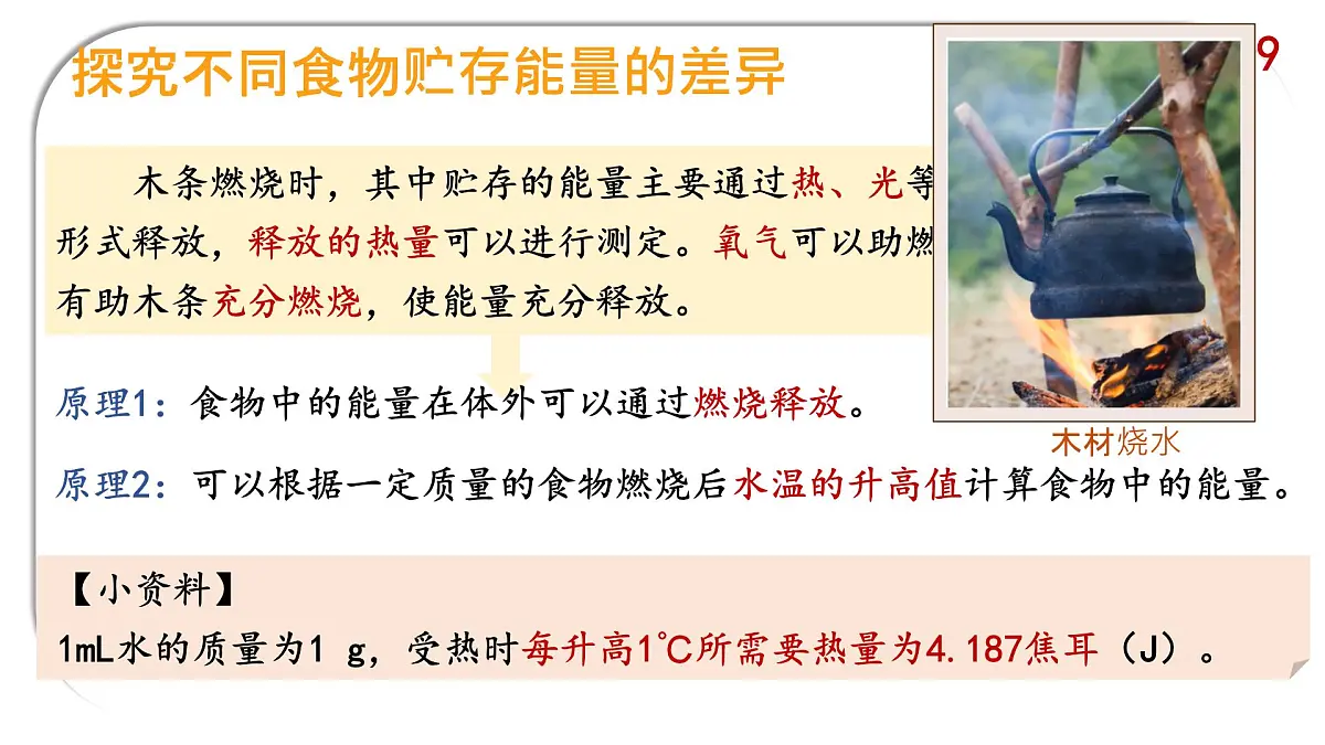 初中 生物 北师大版（2024）七年级下册4.8.1 食物中能量的释放 课件第4页