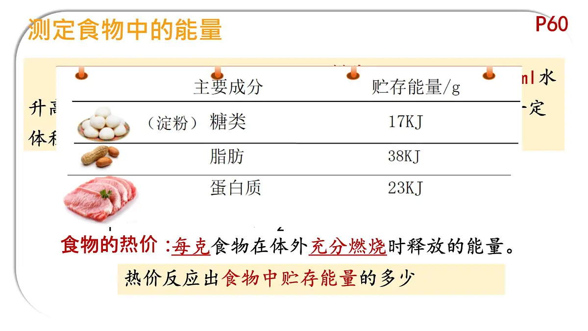初中 生物 北师大版（2024）七年级下册4.8.1 食物中能量的释放 课件第5页