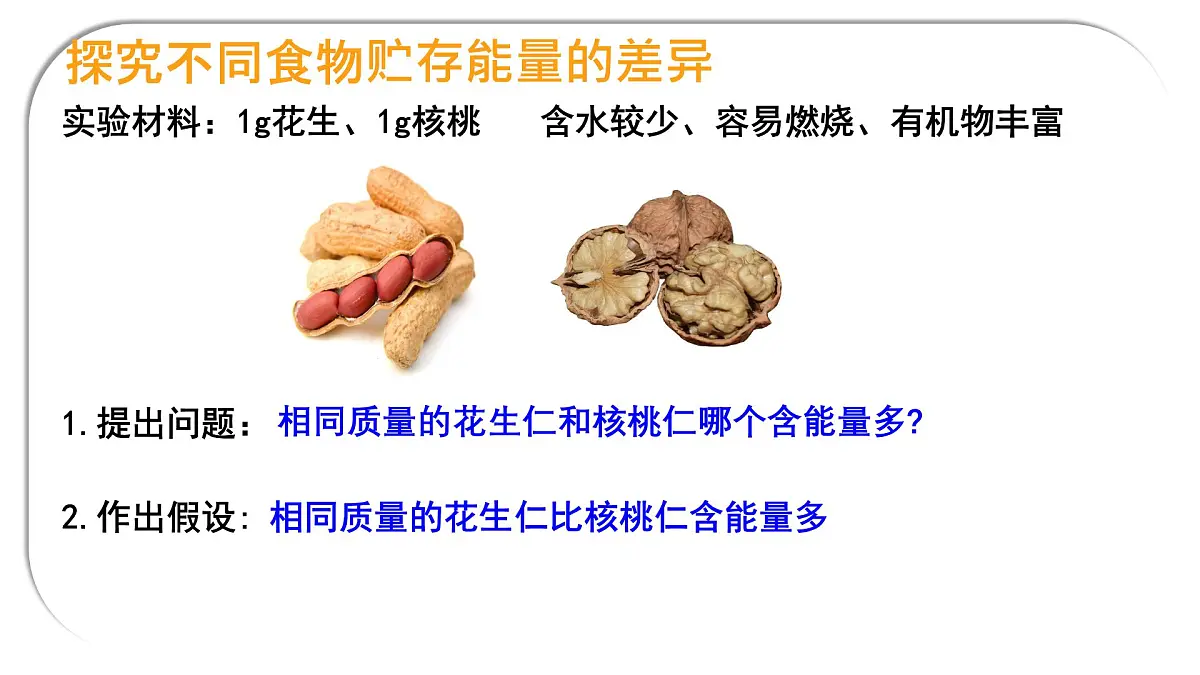 初中 生物 北师大版（2024）七年级下册4.8.1 食物中能量的释放 课件第7页