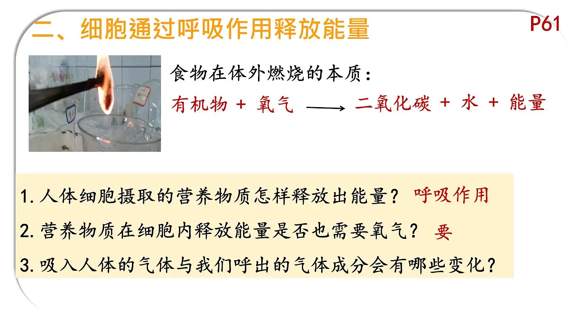 初中 生物 北师大版（2024）七年级下册4.8.1 食物中能量的释放 课件第8页