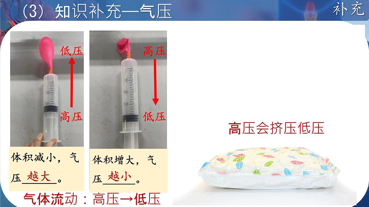 初中 生物 北师大版（2024）七年级下册4.8.2 人体细胞获得氧气的过程（呼吸运动）  课件第8页