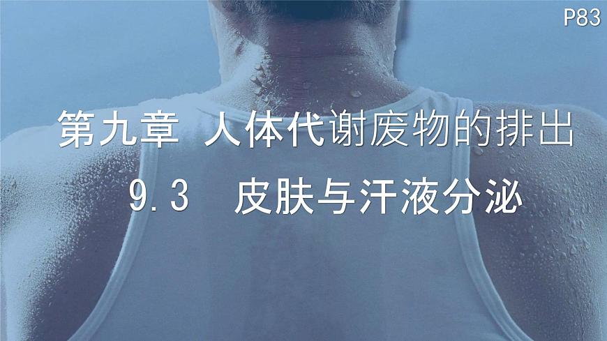 初中 生物 北师大版（2024）七年级下册4.9.3  皮肤与汗液分泌 课件第1页