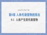 初中 生物 北師大版（2024）七年級(jí)下冊(cè)4.9.1 人體產(chǎn)生的代謝廢物 課件