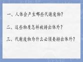 初中 生物 北師大版（2024）七年級(jí)下冊(cè)4.9.1 人體產(chǎn)生的代謝廢物 課件