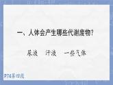 初中 生物 北師大版（2024）七年級(jí)下冊(cè)4.9.1 人體產(chǎn)生的代謝廢物 課件
