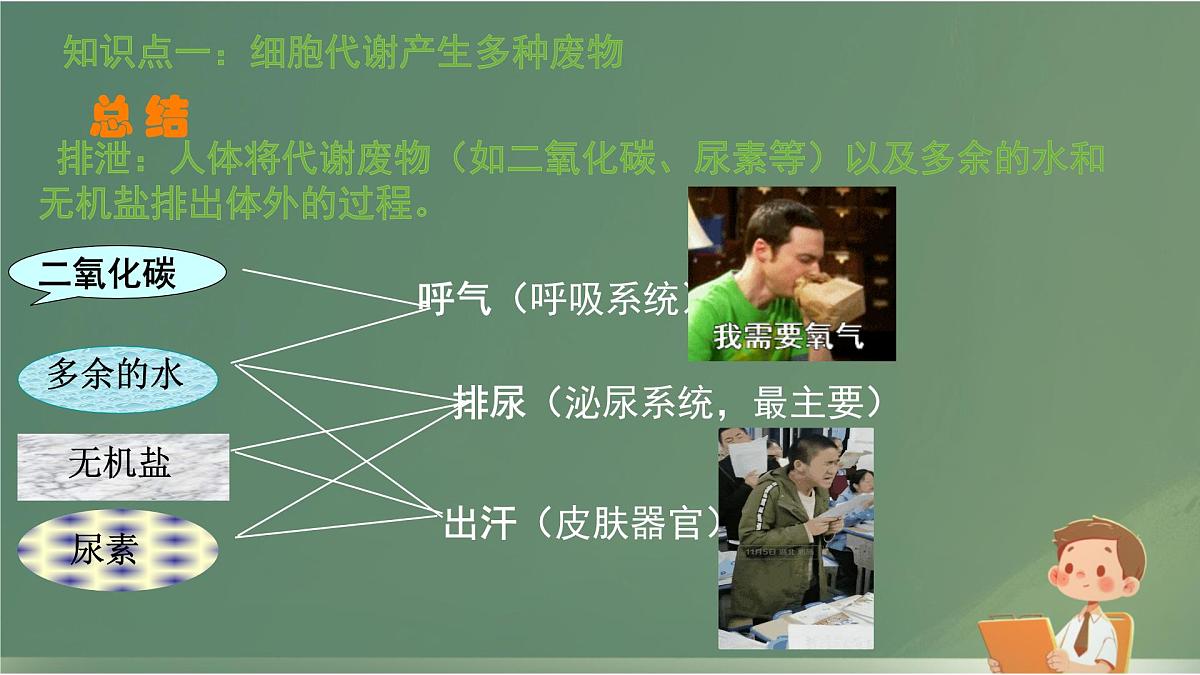 初中 生物 北师大版（2024）七年级下册4.9.1 人体产生的代谢废物 课件第6页