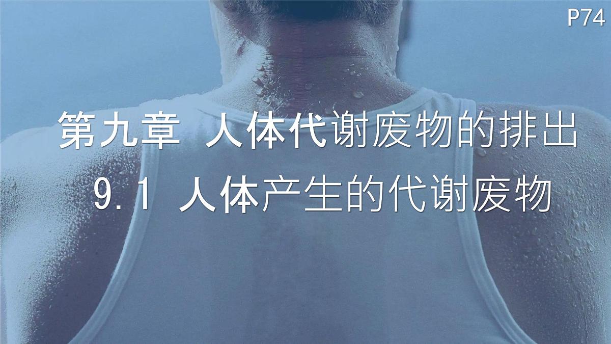 初中 生物 北师大版（2024）七年级下册4.9.1 人体产生的代谢废物 课件第1页