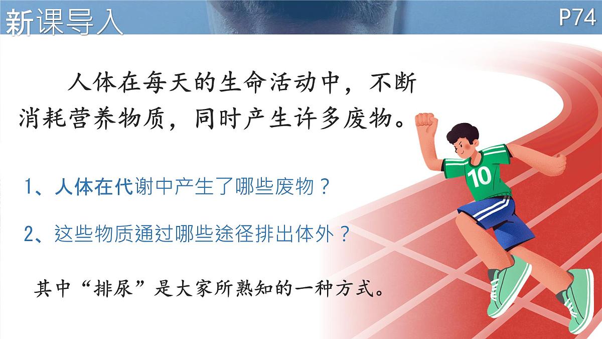 初中 生物 北师大版（2024）七年级下册4.9.1 人体产生的代谢废物 课件第2页