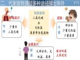 初中 生物 北師大版（2024）七年級(jí)下冊(cè)4.9.1 人體產(chǎn)生的代謝廢物 課件