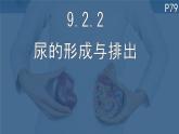初中 生物 北師大版（2024）七年級下冊4.9.2 尿的形成與排出 課件