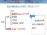 初中 生物 北師大版（2024）七年級下冊4.9.2 尿的形成與排出 課件