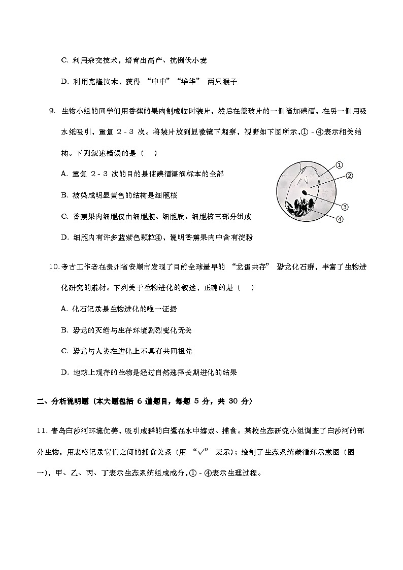 2025年中考生物仿真模拟试卷（含答案解析）第3页