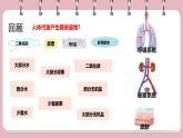 初中 生物 北師大版（2024）七年級下冊4.9.3 皮膚與汗液分泌 課件