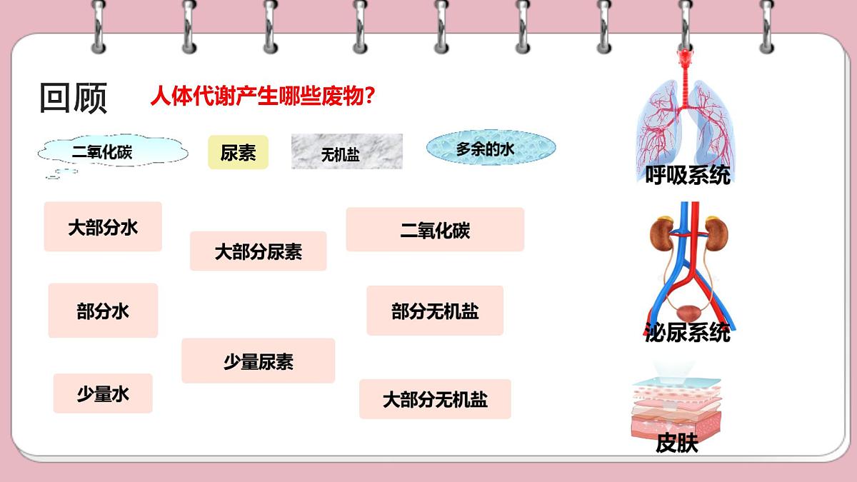 初中 生物 北师大版（2024）七年级下册4.9.3 皮肤与汗液分泌 课件第1页