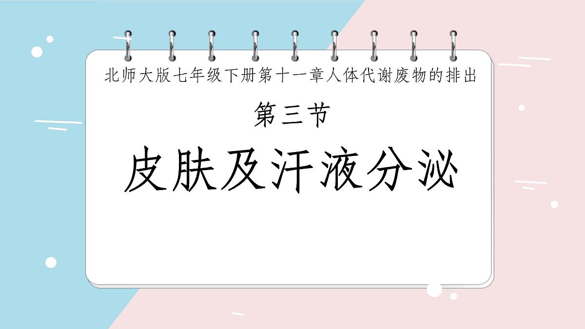 初中 生物 北师大版（2024）七年级下册4.9.3 皮肤与汗液分泌 课件第2页