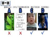 初中 生物 北師大版（2024）七年級下冊4.10.1 神經系統(tǒng)與神經調節(jié)第2 課時 課件