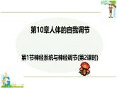 初中 生物 北師大版（2024）七年級下冊4.10.1 神經系統(tǒng)與神經調節(jié)(第2課時) 課件