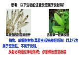 初中 生物 北師大版（2024）七年級下冊4.10.1 神經系統(tǒng)與神經調節(jié)(第2課時) 課件