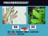 初中 生物 北師大版（2024）七年級下冊4.10.1 神經系統(tǒng)與神經調節(jié) 課件