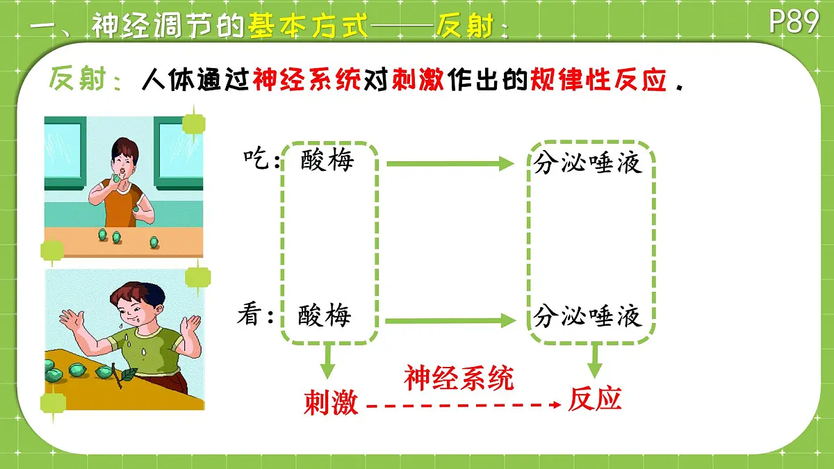 初中 生物 北师大版（2024）七年级下册4.10.1 神经系统与神经调节 课件第4页
