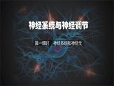 初中 生物 北師大版（2024）七年級下冊4.10.1 神經系統(tǒng)與神經調節(jié)第一課時 課件