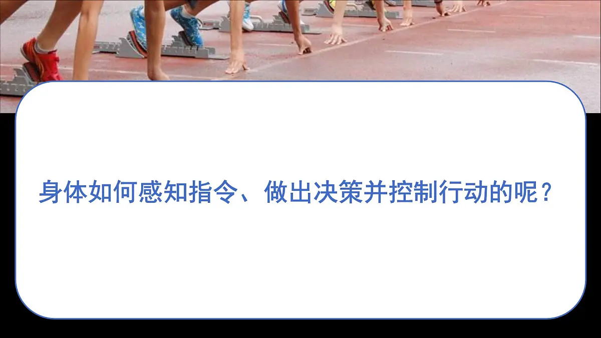 初中 生物 北师大版（2024）七年级下册4.10.1 神经系统与神经调节第一课时 课件第3页