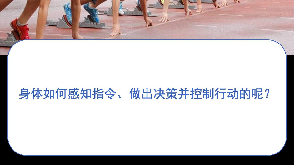 初中 生物 北师大版（2024）七年级下册4.10.1 神经系统与神经调节第一课时 课件第3页