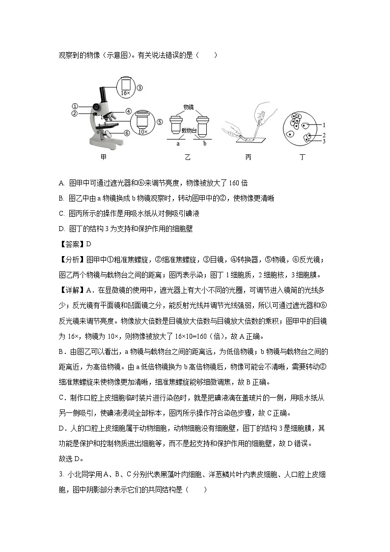 2025年山东省临沂市临沭县中考一模生物试题（解析版）第2页