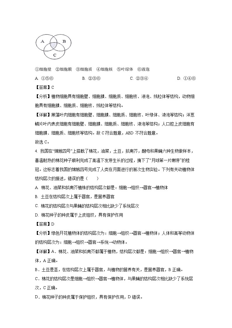 2025年山东省临沂市临沭县中考一模生物试题（解析版）第3页