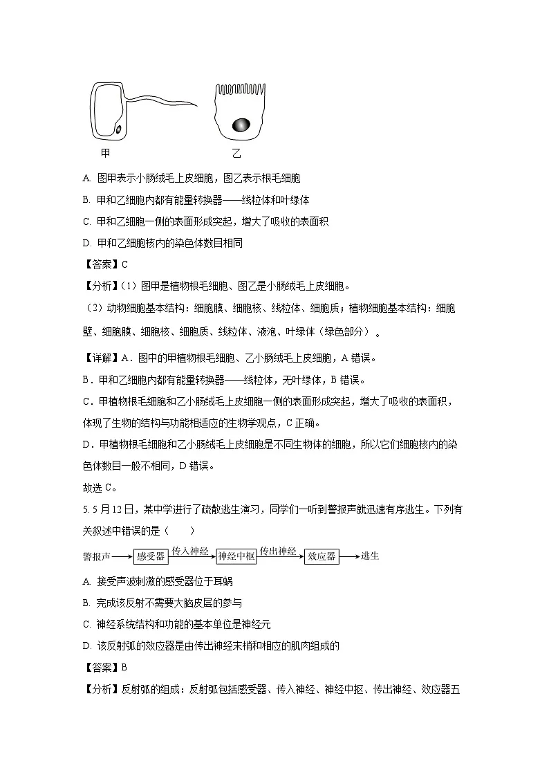 2025年安徽省亳州市八年级中考二模生物试题（解析版）第3页