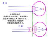 初中 生物 北師大版（2024）七年級下冊4.10.2 感受器和感覺器官第2課時(shí) 課件