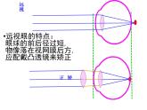 初中 生物 北師大版（2024）七年級下冊4.10.2 感受器和感覺器官第2課時(shí) 課件