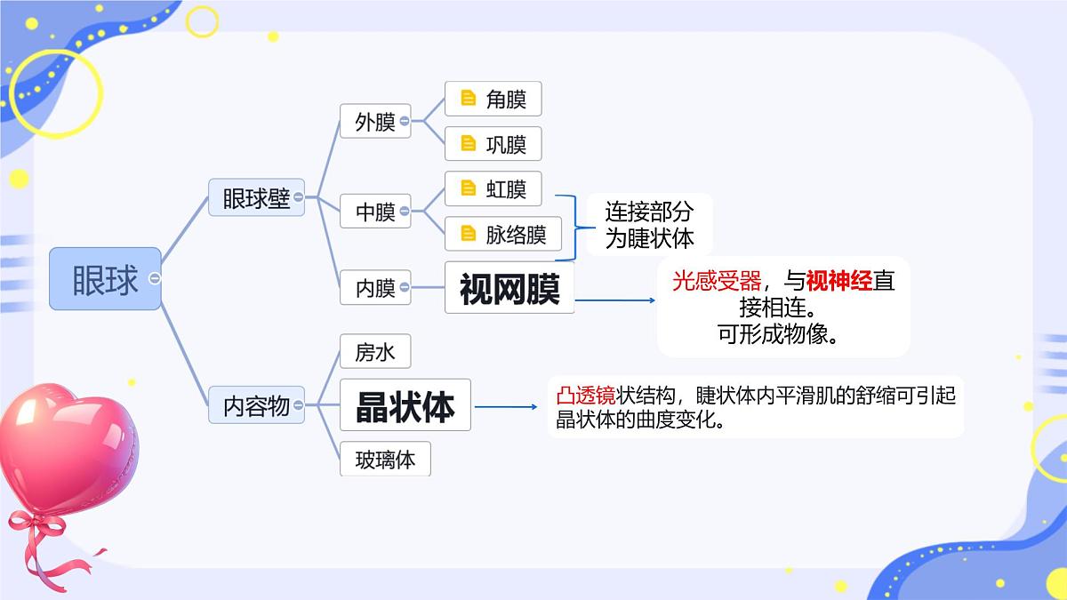 初中 生物 北师大版（2024）七年级下册4.10.2 感受器和感觉器官 课件第3页