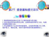 初中 生物 北師大版（2024）七年級下冊4.10.2 感受器和感覺器官 課件