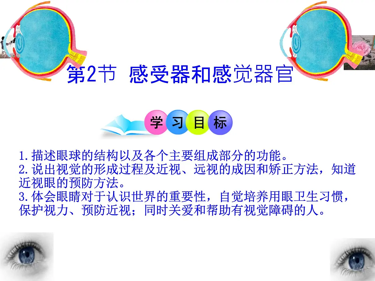 初中 生物 北师大版（2024）七年级下册4.10.2 感受器和感觉器官 课件第1页
