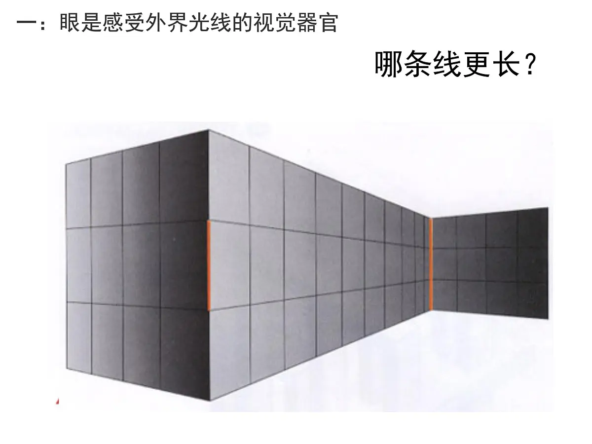 初中 生物 北师大版（2024）七年级下册4.10.2 感受器和感觉器官 课件第3页