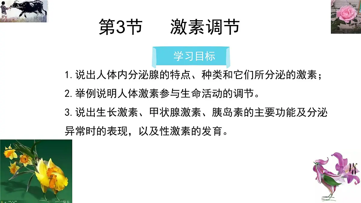 初中 生物 北师大版（2024）七年级下册4.10.3 激素调节 课件第1页