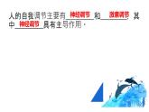 初中 生物 北師大版（2024）七年級(jí)下冊(cè)4.10.3 激素調(diào)節(jié) 課件