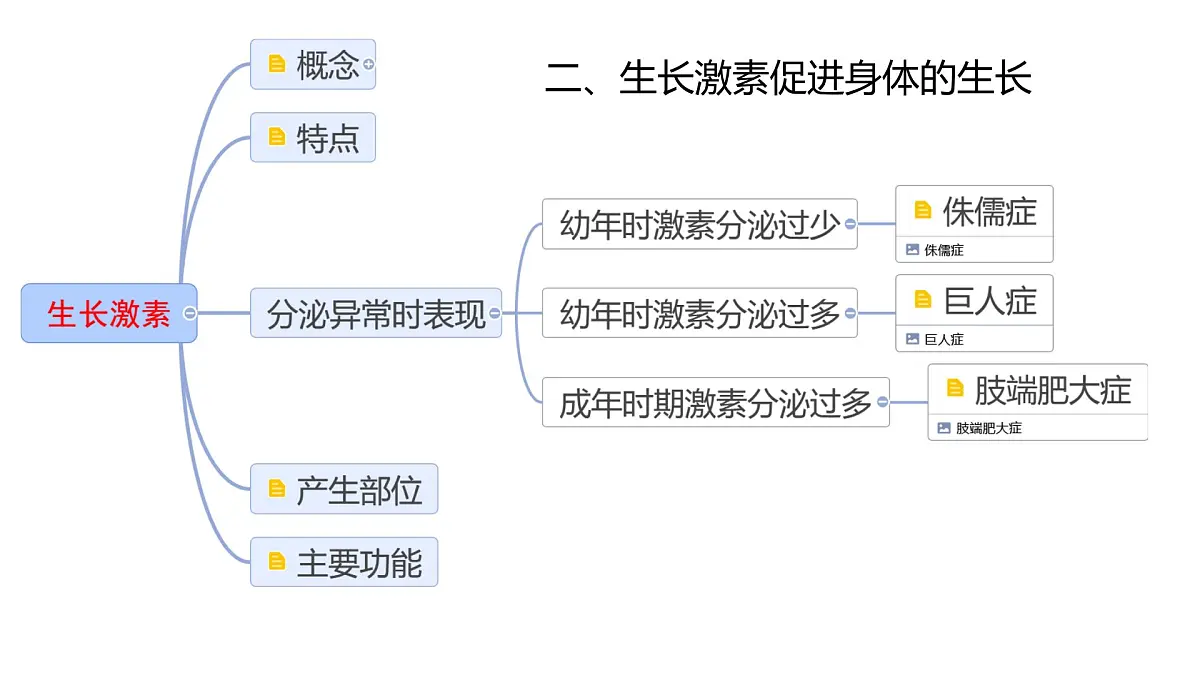 初中 生物 北师大版（2024）七年级下册4.10.3 激素调节 课件第7页