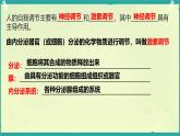 初中 生物 北師大版（2024）七年級(jí)下冊(cè)4.10.3 激素調(diào)節(jié) 課件