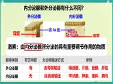初中 生物 北師大版（2024）七年級(jí)下冊(cè)4.10.3 激素調(diào)節(jié) 課件